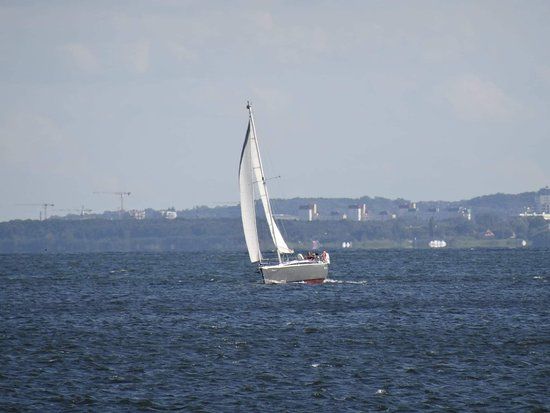 plaża miejska w Gdyni